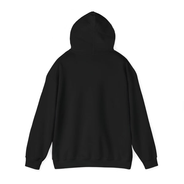 DESIGN YOUR OWN Unisex Heavy Blend™ Hooded Sweatshirt, custom sweatshirt, custom hoodie, personalized hoodie