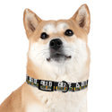 CREATE WITH MELANIE ROSE Dog Collar, custom pet collar, personalized pet collar