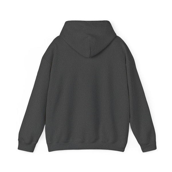 DESIGN YOUR OWN Unisex Heavy Blend™ Hooded Sweatshirt, custom sweatshirt, custom hoodie, personalized hoodie