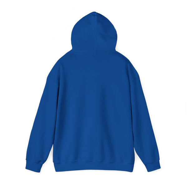 DESIGN YOUR OWN Unisex Heavy Blend™ Hooded Sweatshirt, custom sweatshirt, custom hoodie, personalized hoodie