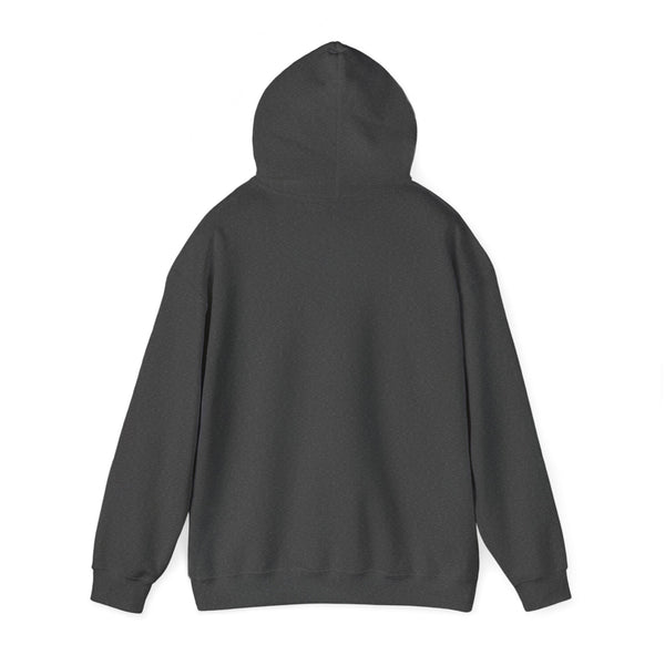 DESIGN YOUR OWN Unisex Heavy Blend™ Hooded Sweatshirt, custom sweatshirt, custom hoodie, personalized hoodie
