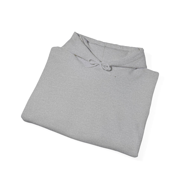 DESIGN YOUR OWN Unisex Heavy Blend™ Hooded Sweatshirt, custom sweatshirt, custom hoodie, personalized hoodie