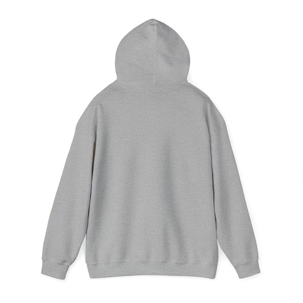 DESIGN YOUR OWN Unisex Heavy Blend™ Hooded Sweatshirt, custom sweatshirt, custom hoodie, personalized hoodie