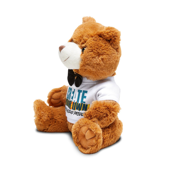 CREATE WITH MELANIE ROSE Teddy Bear with T-Shirt, custom teddy bear shirt, personalized teddy bear, personalized gift