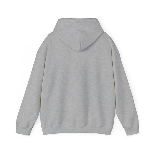 DESIGN YOUR OWN Unisex Heavy Blend™ Hooded Sweatshirt, custom sweatshirt, custom hoodie, personalized hoodie