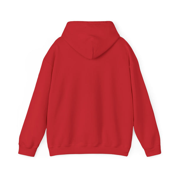 DESIGN YOUR OWN Unisex Heavy Blend™ Hooded Sweatshirt, custom sweatshirt, custom hoodie, personalized hoodie
