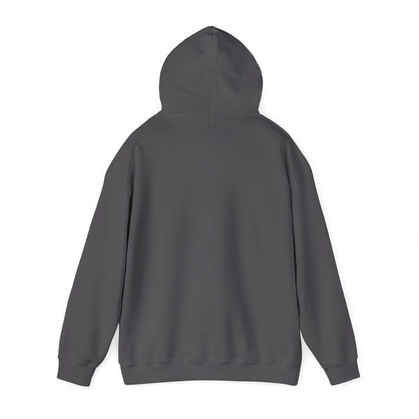DESIGN YOUR OWN Unisex Heavy Blend™ Hooded Sweatshirt, custom sweatshirt, custom hoodie, personalized hoodie