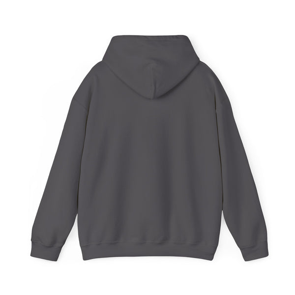 DESIGN YOUR OWN Unisex Heavy Blend™ Hooded Sweatshirt, custom sweatshirt, custom hoodie, personalized hoodie