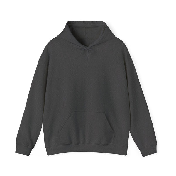 DESIGN YOUR OWN Unisex Heavy Blend™ Hooded Sweatshirt, custom sweatshirt, custom hoodie, personalized hoodie