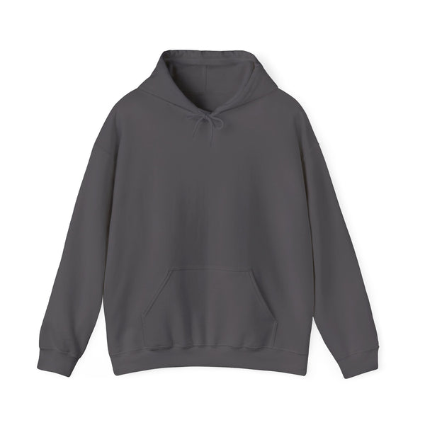 DESIGN YOUR OWN Unisex Heavy Blend™ Hooded Sweatshirt, custom sweatshirt, custom hoodie, personalized hoodie