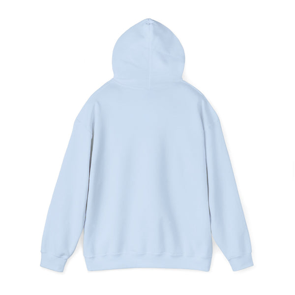 DESIGN YOUR OWN Unisex Heavy Blend™ Hooded Sweatshirt, custom sweatshirt, custom hoodie, personalized hoodie