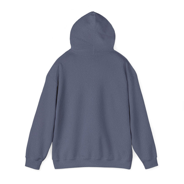 DESIGN YOUR OWN Unisex Heavy Blend™ Hooded Sweatshirt, custom sweatshirt, custom hoodie, personalized hoodie