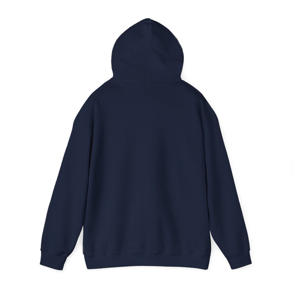 DESIGN YOUR OWN Unisex Heavy Blend™ Hooded Sweatshirt, custom sweatshirt, custom hoodie, personalized hoodie