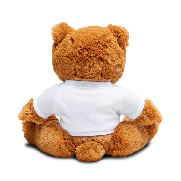 CREATE WITH MELANIE ROSE Teddy Bear with T-Shirt, custom teddy bear shirt, personalized teddy bear, personalized gift